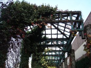 Vines Scaling Girders