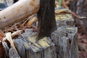 Sharp Axe Sunk in Stump