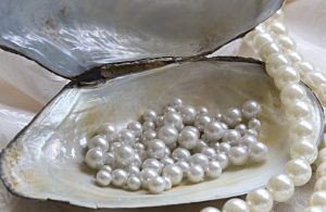 A Plentitued Of Pearls