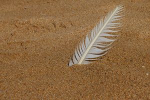 Quill in Sand