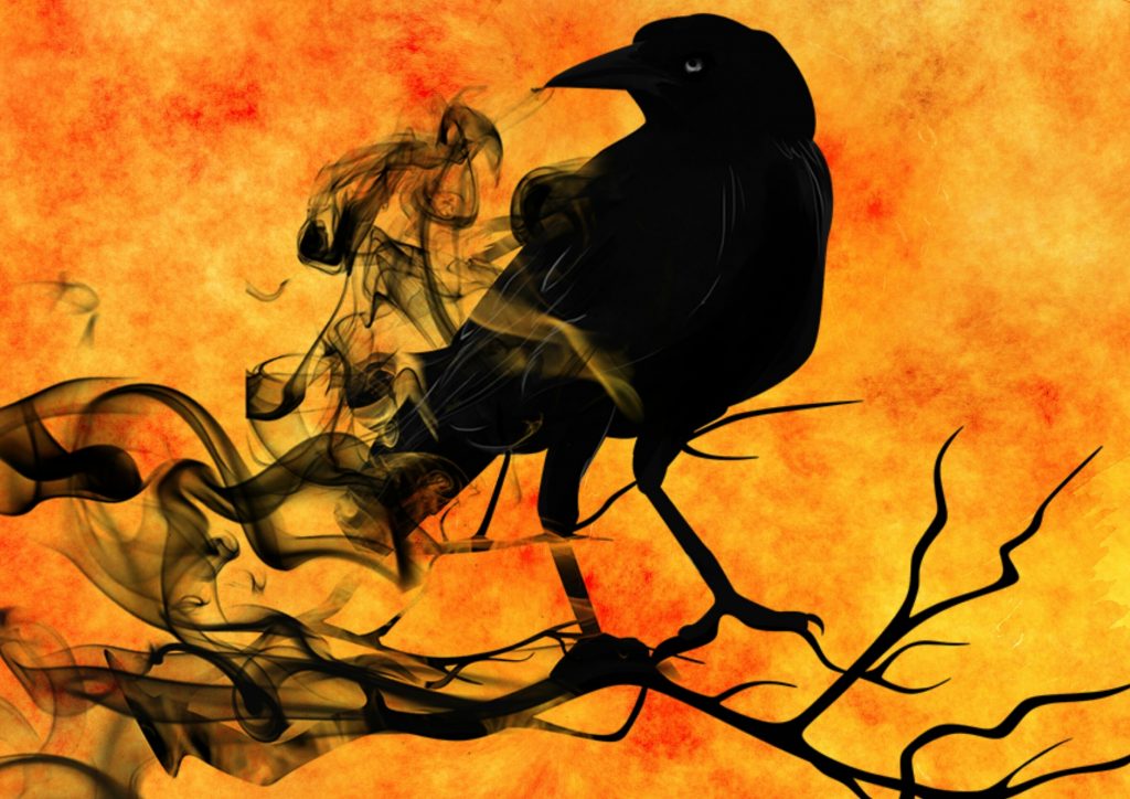 Raven of Smoke and Ink